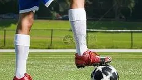 蒂姆维也纳站夺冠，领跑ATP冠军榜